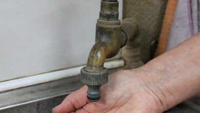 IMG_2339(Medium)_97434