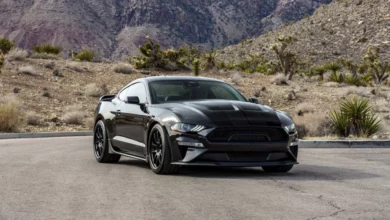 Shelby-edit-1-1024x614-1