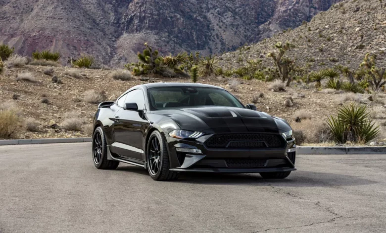 Shelby-edit-1-1024x614-1