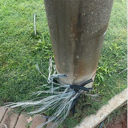 Between January and June 2025, 20 arrests were made, 20 cases were placed on the court roll, and eight convictions were obtained.