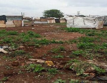 The EMPD First Responder and Land Invasion units removed 11 illegal structures erected on Old Mutual open land near Phumulani Mall, urging Winnie Mandela residents to stop occupying unauthorised sites.