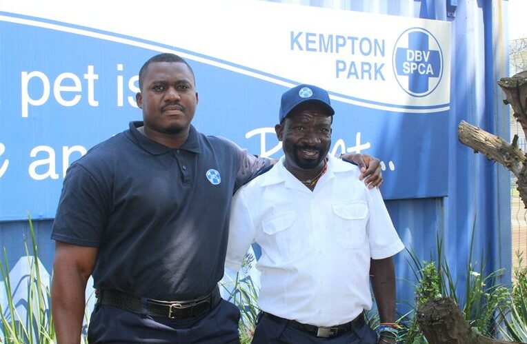 The Kempton Park SPCA has confiscated three dogs from a man repeatedly reported for alleged neglect, following new complaints from Glen Marais residents about the animals’ safety and wellbeing.