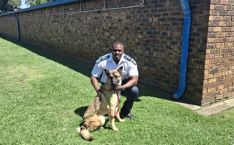 Key challenges including limited financial resources, increased demand for outreach in low-income communities, and infrastructure constraints within the organisation.