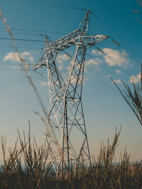 A tall electrical pylon stands against a clear, blue sky, with a few fluffy clouds. Grassy plants frame the foreground, creating a serene scene.