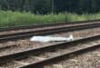 A metallic sheet covers an object on railway tracks surrounded by scattered rocks. Lush green trees and a cloudy sky form the backdrop, invoking tension.