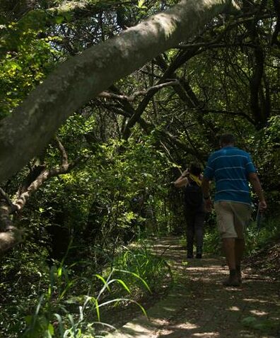 From shaded forest trails to open grasslands, Melville Koppies offers guided and self-guided hikes, storytelling and family-friendly outdoor fun every Sunday morning.