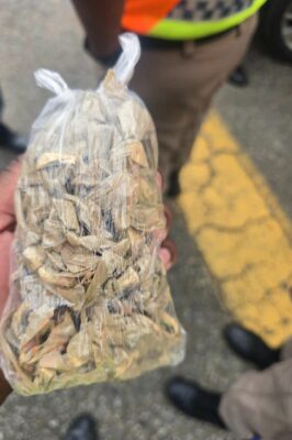 A close-up of a hand holding a clear plastic bag filled with dried beige leaves. The background shows a person in uniform and a road with a yellow line.
