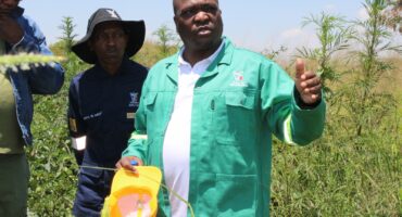 A man in a green jacket gestures while speaking in a grassy field. Two others listen intently nearby, one wearing a blue uniform, conveying teamwork.