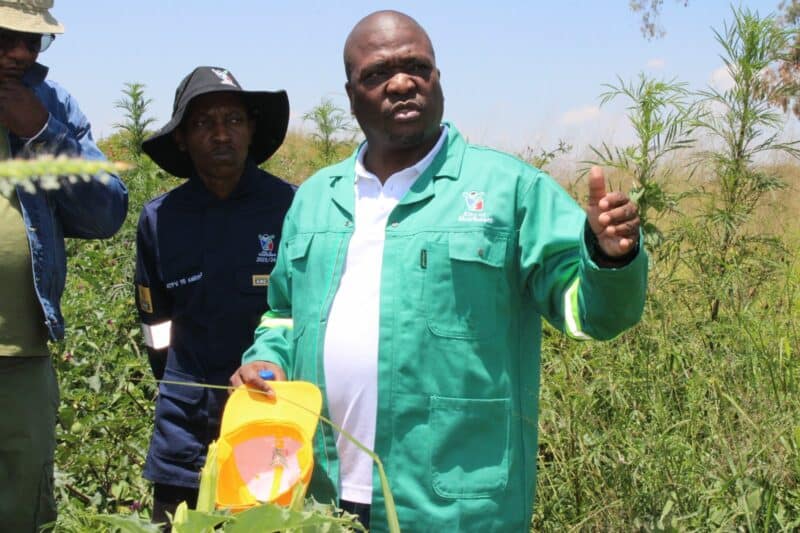 A man in a green jacket gestures while speaking in a grassy field. Two others listen intently nearby, one wearing a blue uniform, conveying teamwork.