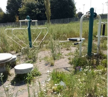 Chesa Foundation NPC will be having a clean-up programme and keep the community clean.