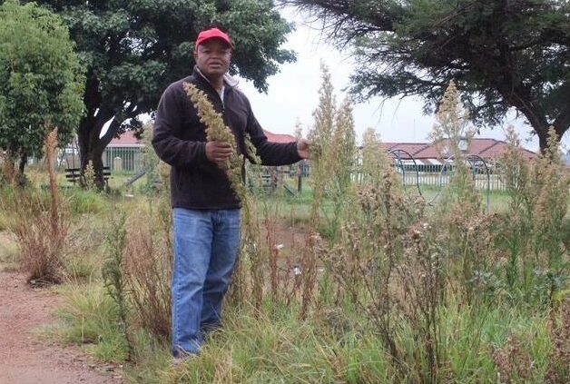 The unmaintained park has become a home ground for substance abusers leaving residents in fear.