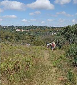 Enjoy hikes at Melville Koppies every last Sunday of the month.