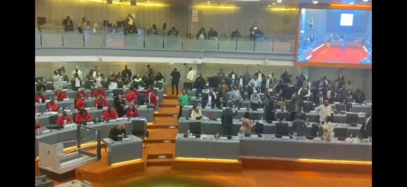 EFF caucus leader Thembi Msane questioned the legality of the voting process, arguing that proper legislative requirements were not followed.