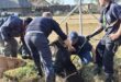 A group of people and dogs assisting in the rescue of a trapped animal in a grassy field, with houses in the background.