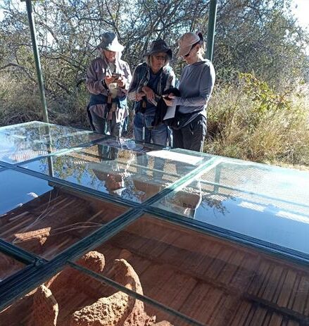 Visit Melville Koppies for variety of activities to explore.