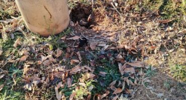 A concrete pole beside a dirt path, with a broken gray pipe lying on the ground and scattered dry leaves around.