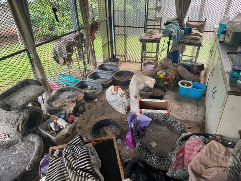 A cramped, cluttered craft stall filled with colorful yarn, woven baskets, textiles, tools, and debris, creating a crowded, handmade atmosphere.