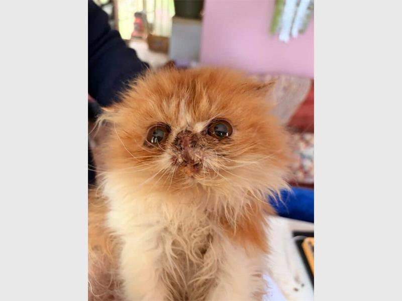 “Although their lives ended far too soon, they spent their final days receiving the care, comfort and compassion they had always deserved.