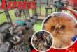 A cramped, cluttered craft stall filled with colorful yarn, woven baskets, textiles, tools, and debris, creating a crowded, handmade atmosphere.