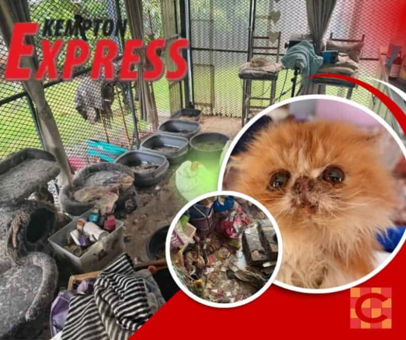 A cramped, cluttered craft stall filled with colorful yarn, woven baskets, textiles, tools, and debris, creating a crowded, handmade atmosphere.