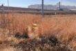 Dry, brown grass field with a gold space blanket in the center. Industrial buildings and tall lamp posts in the background under a clear blue sky.