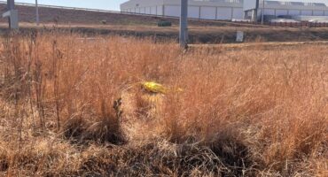 Dry, brown grass field with a gold space blanket in the center. Industrial buildings and tall lamp posts in the background under a clear blue sky.