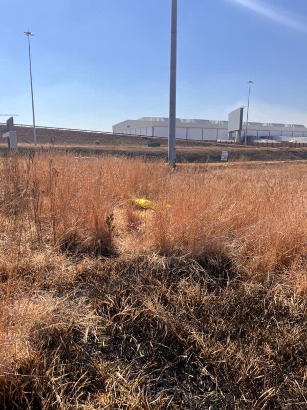 Dry, brown grass field with a gold space blanket in the center. Industrial buildings and tall lamp posts in the background under a clear blue sky.