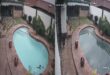 Split-screen security footage shows a curved backyard swimming pool, blue and clear on the left and reflecting cloudy skies on the right, with patio plants.