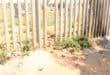 Sunlit, dusty ground and sparse weeds sit beneath a tall metal fence, with a dry, neglected lot visible through the bars; the scene feels stark and exposed.