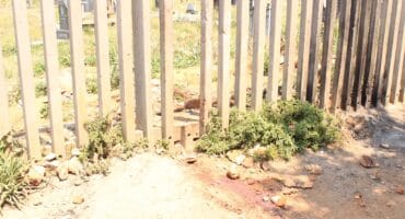 Sunlit, dusty ground and sparse weeds sit beneath a tall metal fence, with a dry, neglected lot visible through the bars; the scene feels stark and exposed.