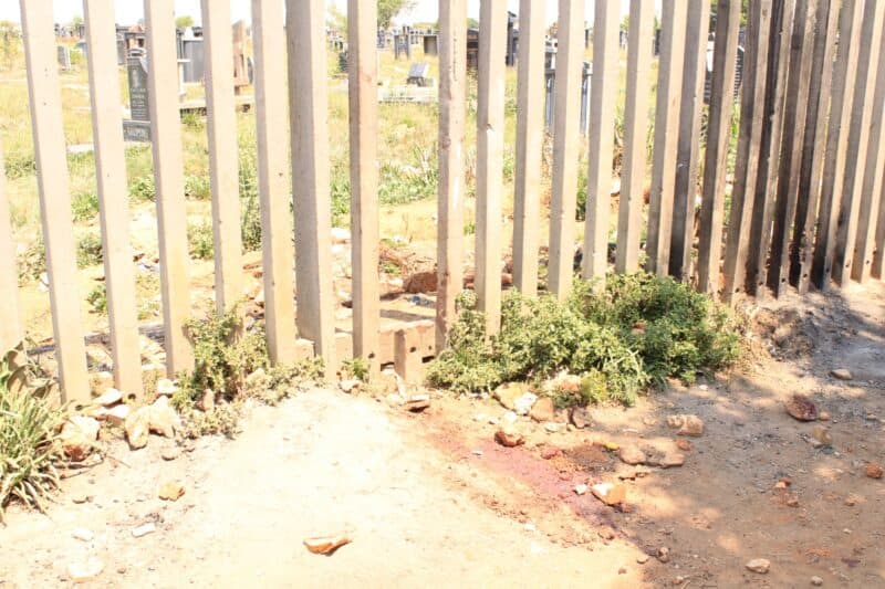 Sunlit, dusty ground and sparse weeds sit beneath a tall metal fence, with a dry, neglected lot visible through the bars; the scene feels stark and exposed.