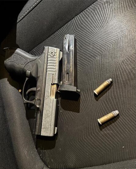 Police recover dangerous firearm in Ivory Park.