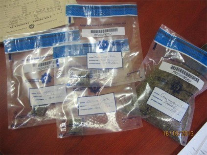 The dagga confiscated in the operation.
