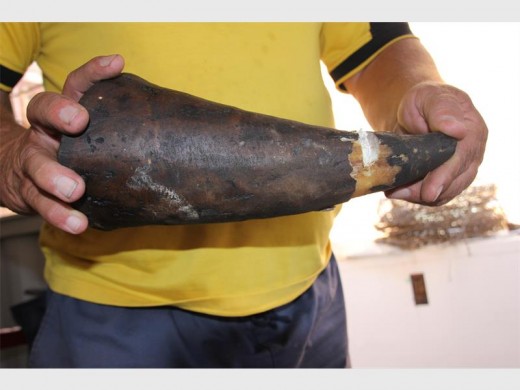 Danie Olkers holds what he believed to be a real rhino horn, which he found in Elsburg.