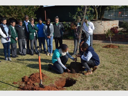 Paballo Makupu, Miss Earth SA regional finalist (left), and Colin Mann Primary’s headboy, Wandile Mvulane, get ready to plant the tree.