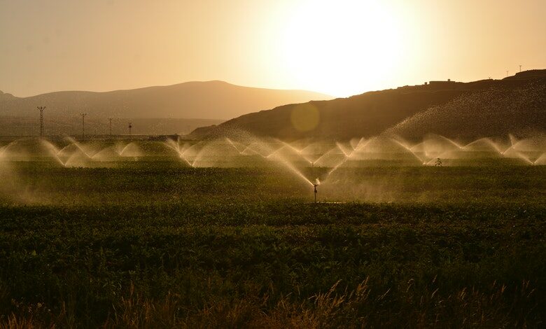 irrigation