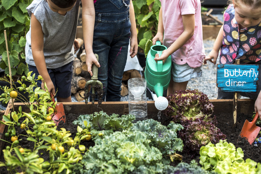 Children are in the garden watering the plants