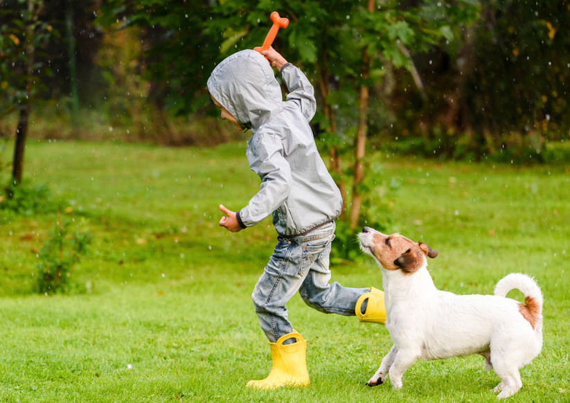 Six reasons why your child should have a pet