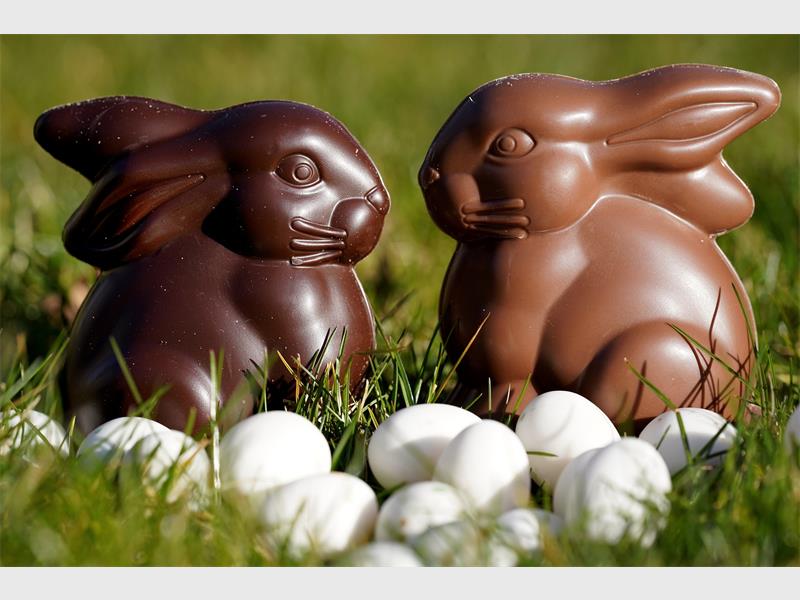 easter-bunny-g27f76_60284