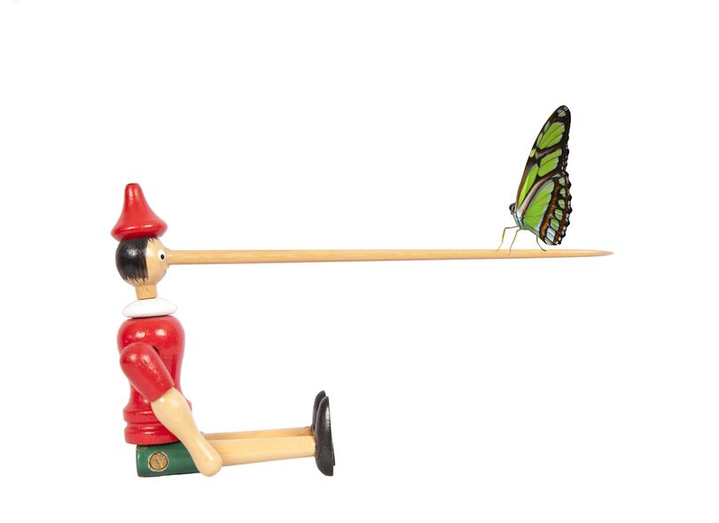 Why your child lies - and how to put a stop to it