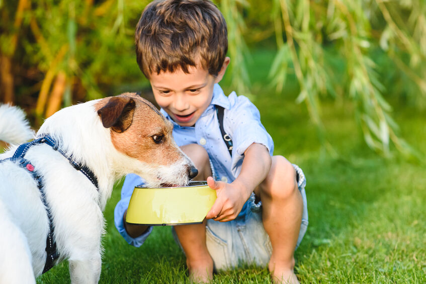 Dog bite prevention tips for parents