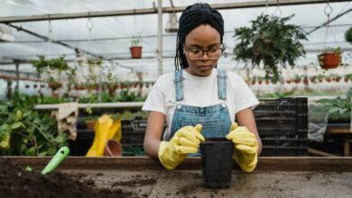 planting
