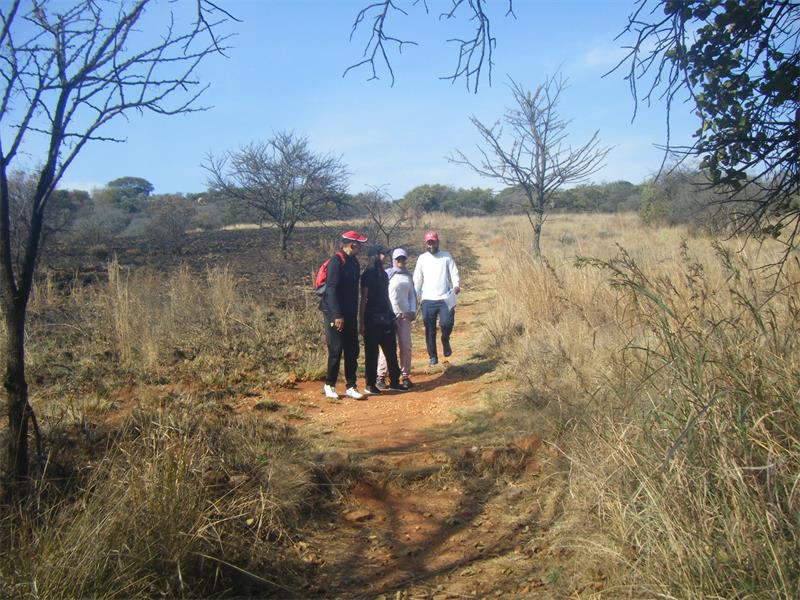 burntgrassland_36881