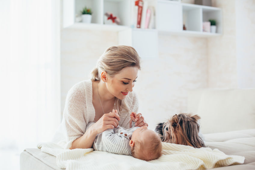 How to introduce your dog to your new baby