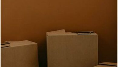 kadarius-seegars-De_92389