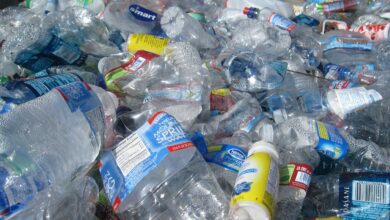 plastic