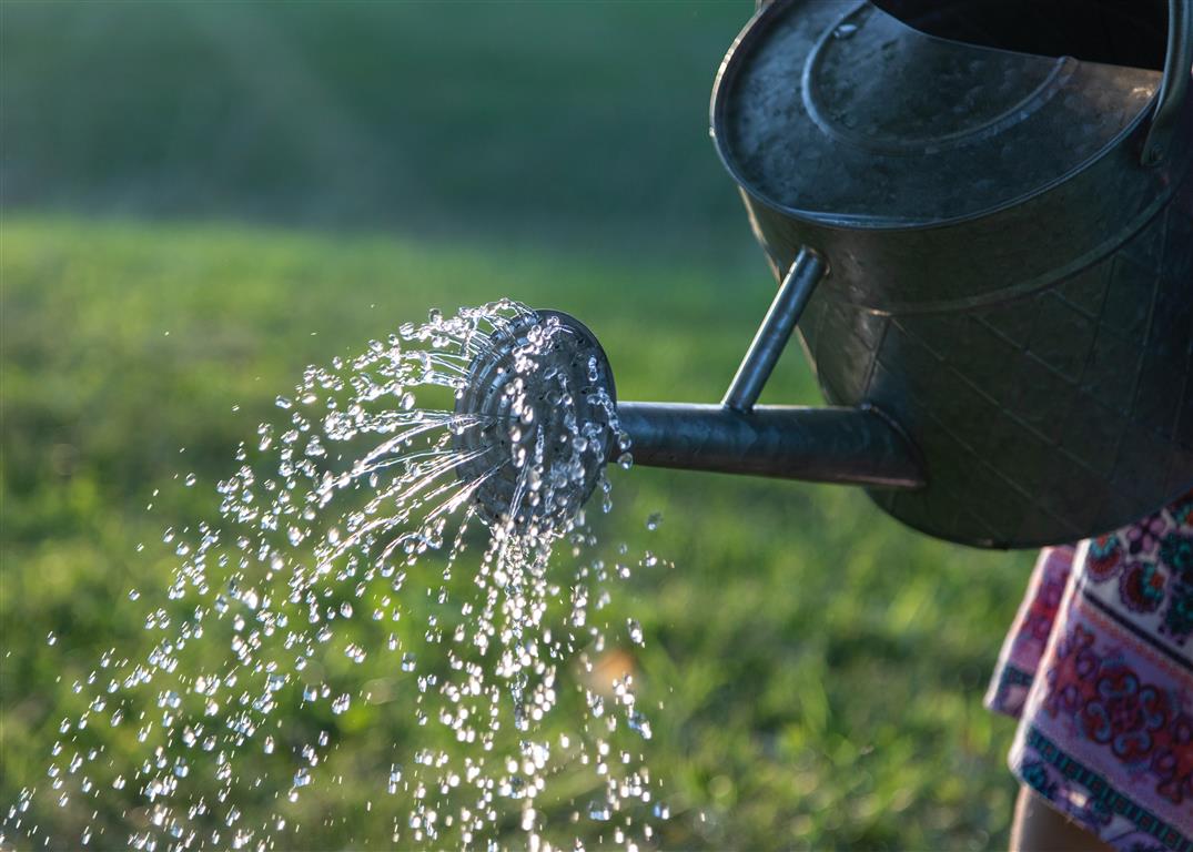 ElanaWagner-18-10-2021-Home-WaterHabits.2 (Medium)