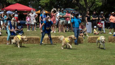Image1_79277