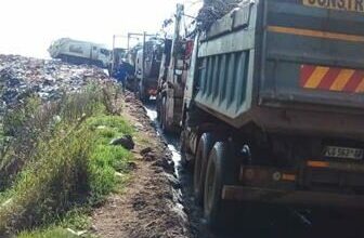 trucks2_65273
