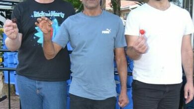 10BECOMMCHILLIS_16172